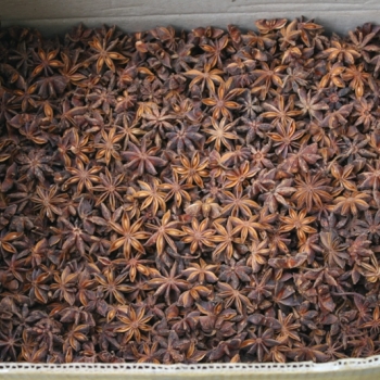 Star anise